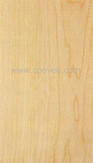 Hard Maple(Ӳ㣬Ƿ㣬ľ