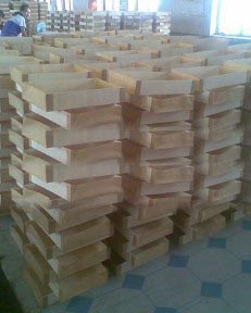 ; ľƬ; һľƬͺ һľƬ; ;ߺеϸ