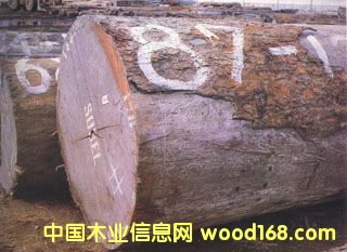 ��������ԭľ