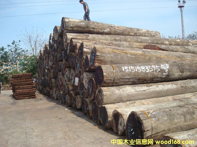 ����鿴���ܸ�ԭľ�Ŵ�ͼƬ