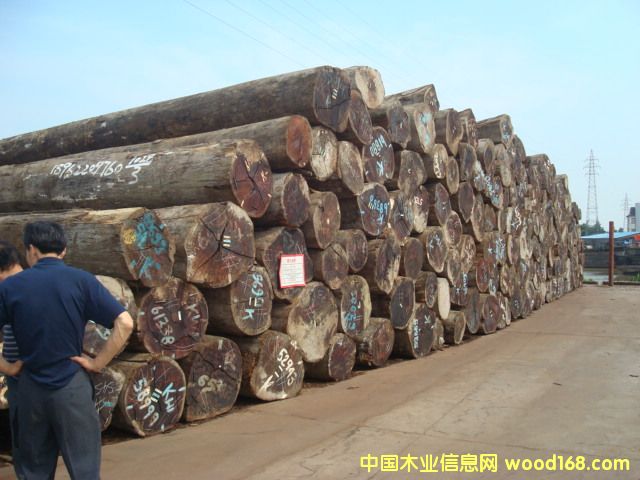 ����鿴���ܸ�ԭľ�Ŵ�ͼƬ