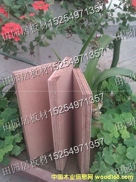 克隆木的详细介绍