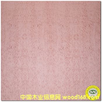 [] ʢȻľȸԭľľƤ-