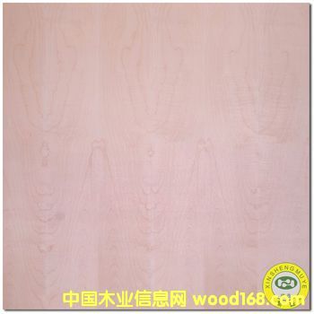 ������ʢ����Ȼ��ľ����ԭľľƤ�����-�����