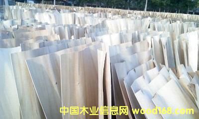 ����鿴��ľ��Ƥ�Ŵ�ͼƬ