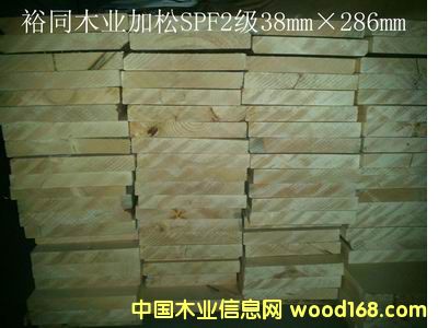 ����鿴����SPF2����ķŴ�ͼƬ