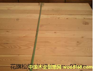 ����鿴������U����ķŴ�ͼƬ