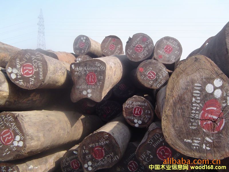 ɽë鷡�̴ľ��ɳ�������ڱ��ر���ȫ�״���