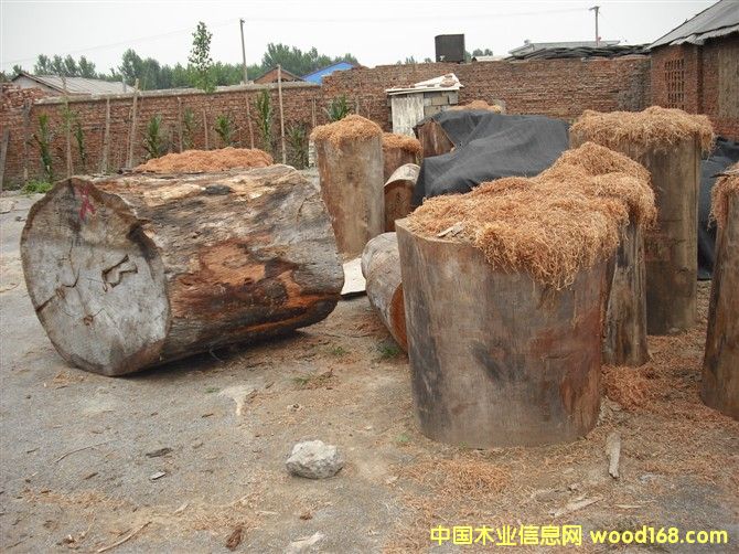 �һ�оľͷ����ϸ����