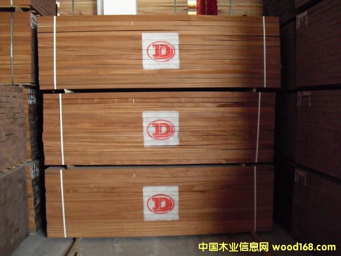 ����鿴ɳ����2�Ŵ�ͼƬ