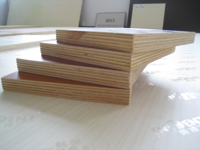 �����Ƴ�E0����ȩ����