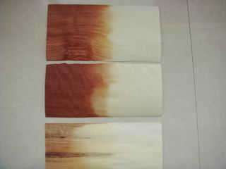 ������ľƤƯ�׼�