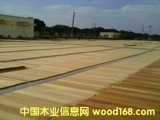 ����鿴��ľ�ذ��ɫ��������ϸ����