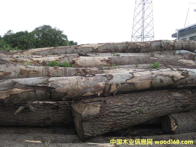 ����鿴�����ľԭľ�Ŵ�ͼƬ