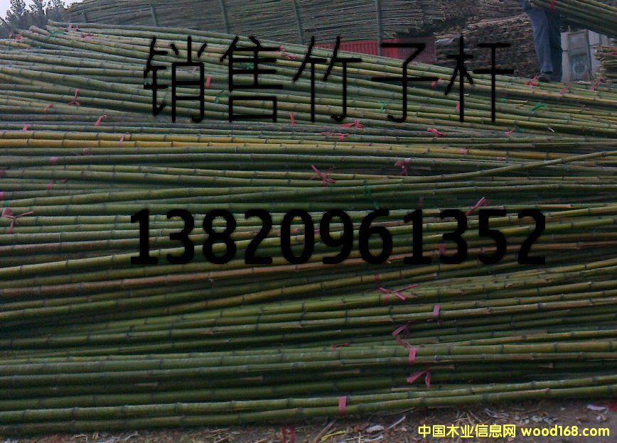 ����鿴���ӷŴ�ͼƬ