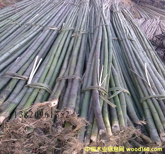 ����鿴4�����ӷŴ�ͼƬ