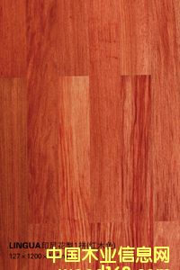 LinguaӡỨ1ƴľɫϸ