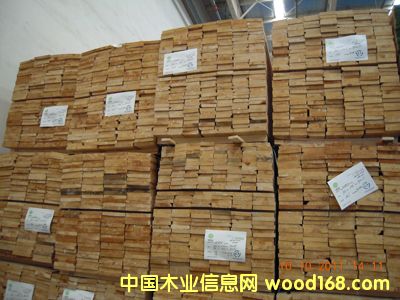 智立松的详细介绍