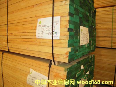 辐射松的详细介绍