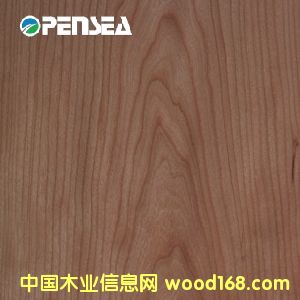 樱桃的详细介绍