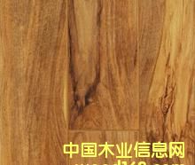 ���ֵذ����ϸ����