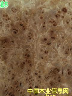 白杨树价格,最新木材市场价格和走势-中国木业