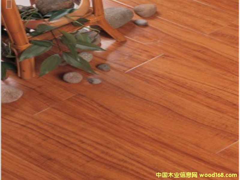 ǿ�����ϵذ�