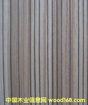 �Ƽ�ľƤ����EV.����