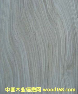 �Ƽ�ľƤ��Ӱ����