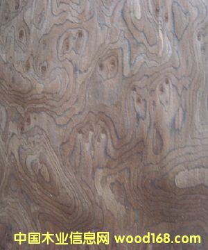 ľƤ��������Ӱľ