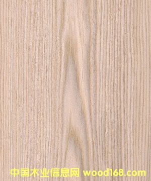 Сɽ��ľƤ����28C