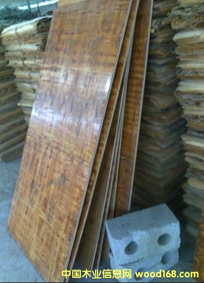 ����鿴����ģ��Ŵ�ͼƬ