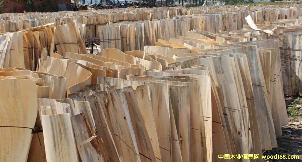 ��ľ����