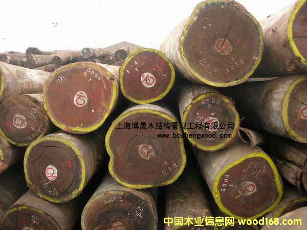 古柚木的详细介绍