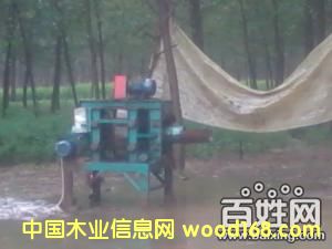 ����鿴ľƬ�� ��Ƥ��  ��Ƥ�۷Ŵ�ͼƬ