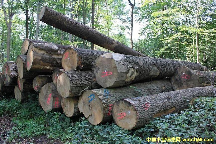 ����鿴ˮ�����Ŵ�ͼƬ