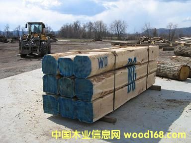 ����鿴���ڰ���ľ����ľ�Ŵ�ͼƬ