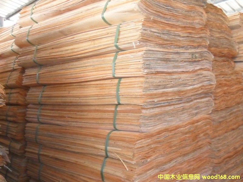 桉木单板一级 桉木单板一级