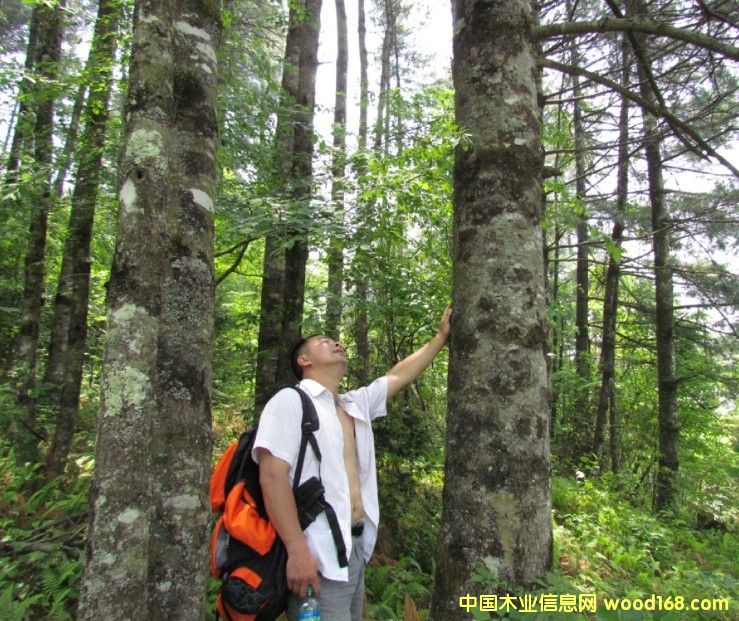 ĴʡԪˮ11000Ķתõϸ