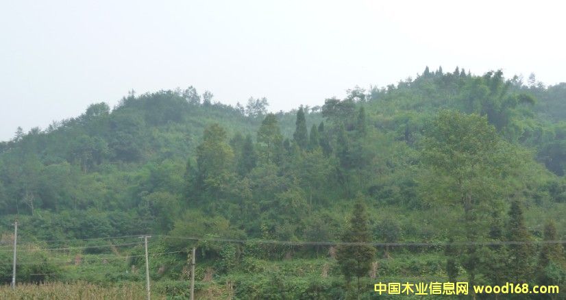 Ĵʡɶܱ3000Ķòֵתõϸ