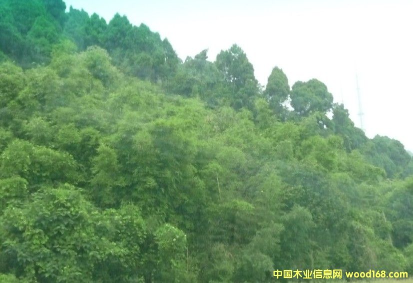 Ĵʡɶ2800Ķֵתõϸ