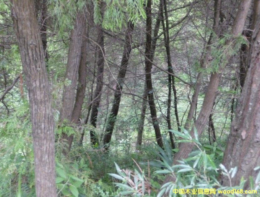 ĴʡԪ10000Ķɰػ콻ֵصϸ