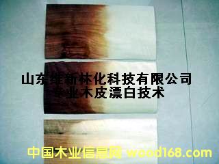 ����鿴ľƤƯ��ͼƬ�Ŵ�ͼƬ