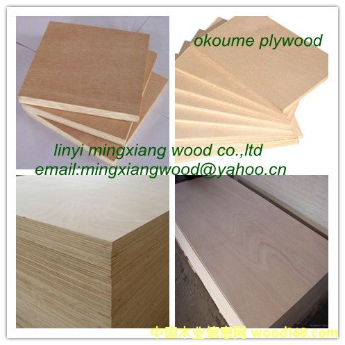 ���ϰ����ϸ����