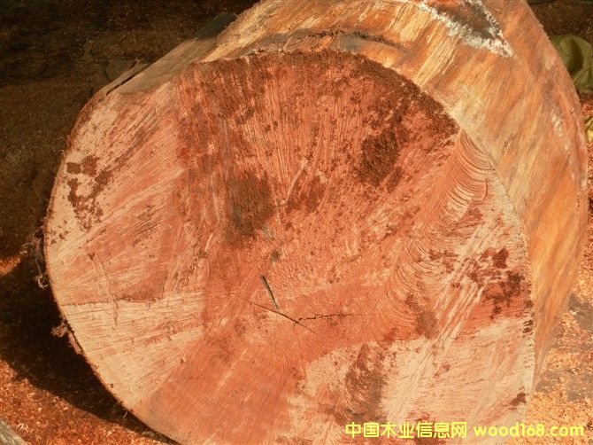 �һ�о����ϸ����