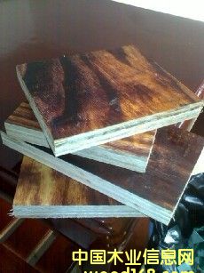 ����鿴����Ĥ��Ŵ�ͼƬ