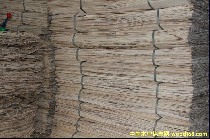 װ�ް�����ľ����