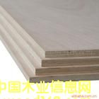 ����鿴����15��Ŵ�ͼƬ