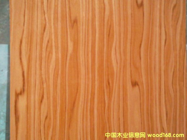 ���ľ������ϸ����