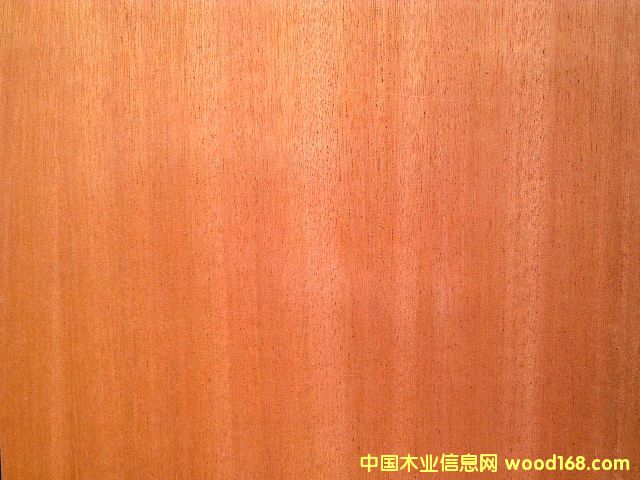 ��Ȼɳ��������ϸ����